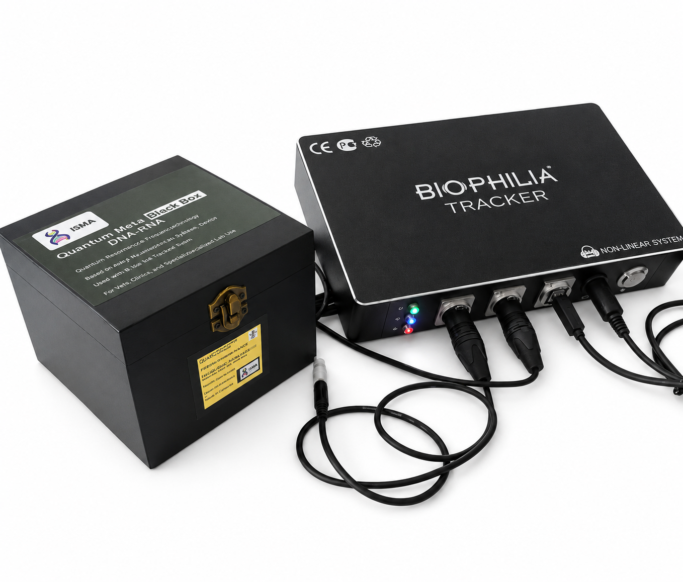 Quantum Meta Black Box  -  DNA/RNA